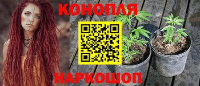 МДПВ Балашиха