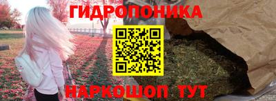 PSILOCYBIN Балахна