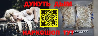 прущие грибы Будённовск