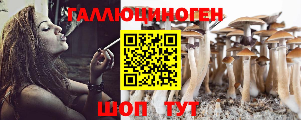 Псилоцибиновые грибы Psilocybine cubensis Будённовск